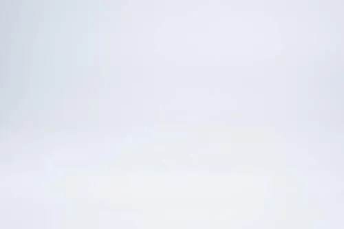 Interior de la peluquería